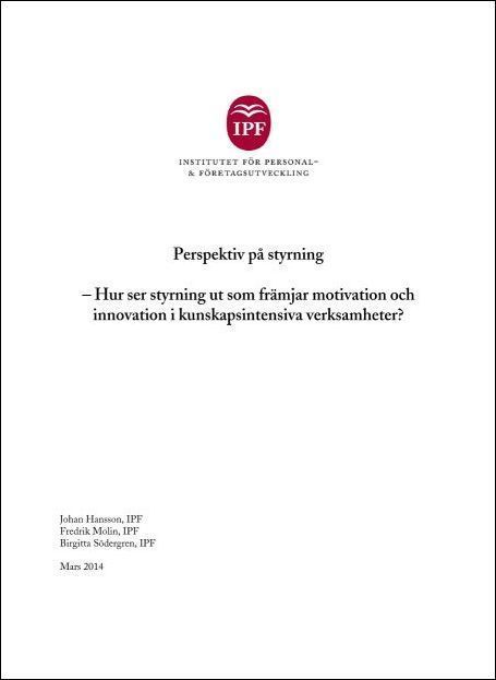 Perspektiv på styrning